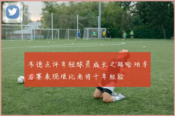 韦德点评年轻球员成长之路哈珀季后赛表现堪比老将十年经验